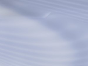 合规管理